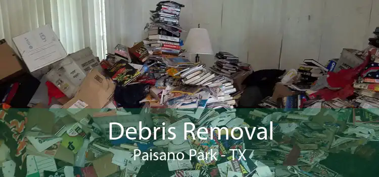 Debris Removal Paisano Park - TX