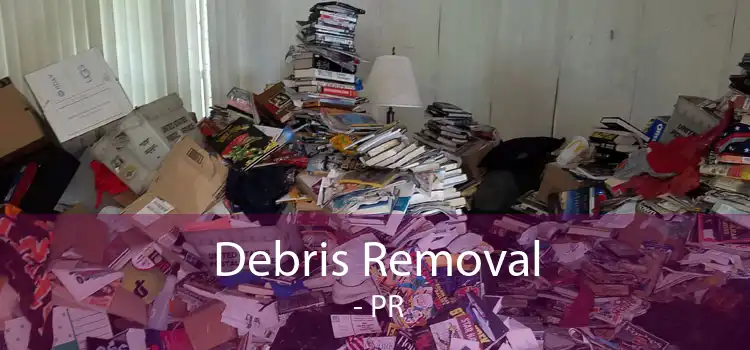 Debris Removal  - PR