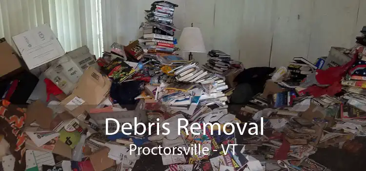 Debris Removal Proctorsville - VT