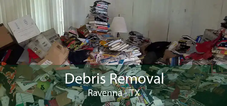 Debris Removal Ravenna - TX