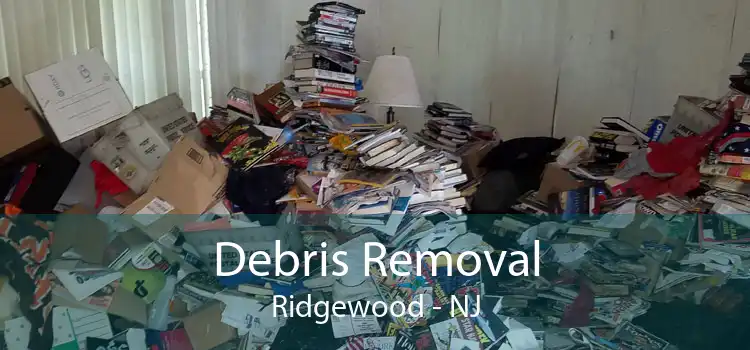 Debris Removal Ridgewood - NJ