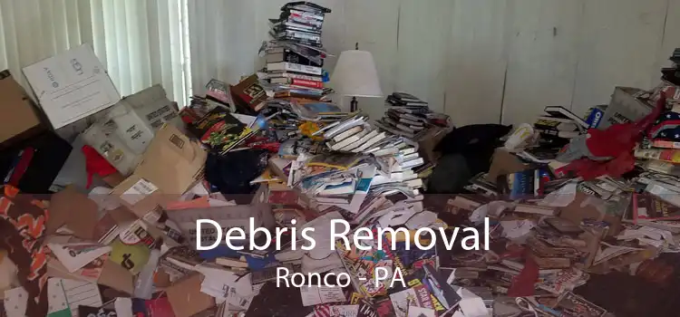 Debris Removal Ronco - PA