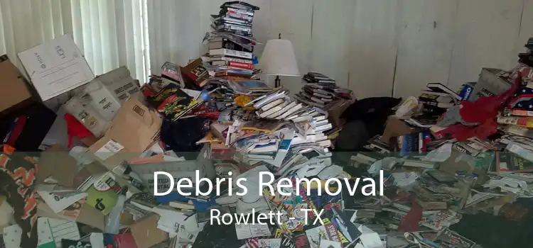 Debris Removal Rowlett - TX