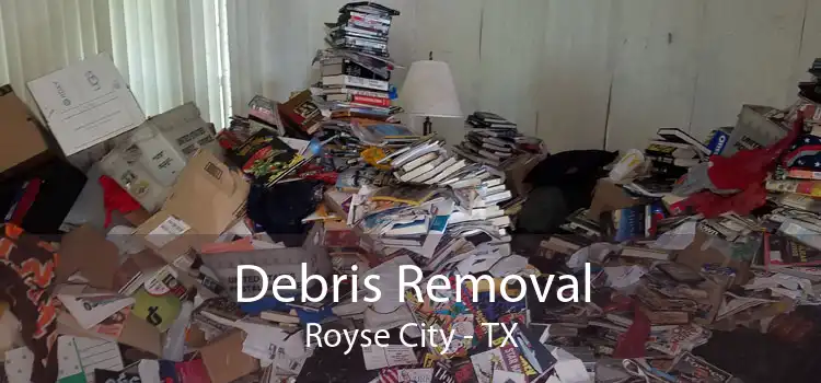 Debris Removal Royse City - TX