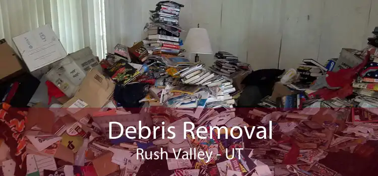 Debris Removal Rush Valley - UT