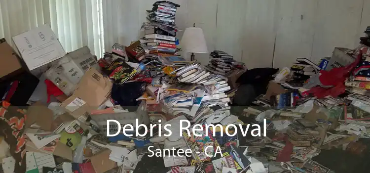 Debris Removal Santee - CA