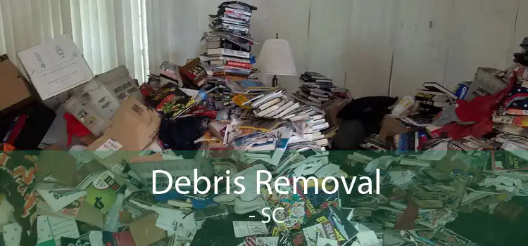 Debris Removal  - SC