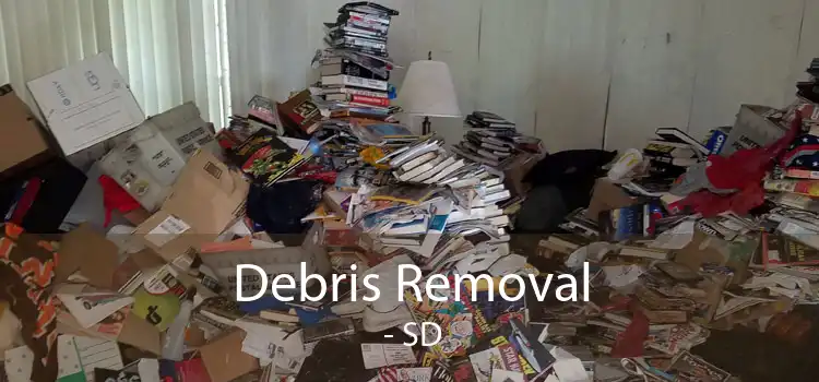 Debris Removal  - SD