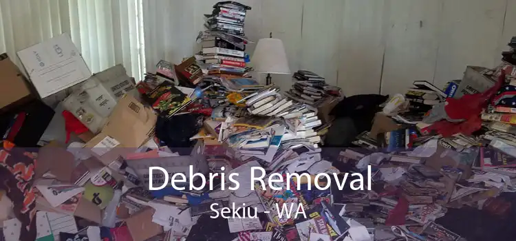 Debris Removal Sekiu - WA