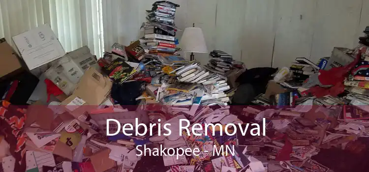 Debris Removal Shakopee - MN