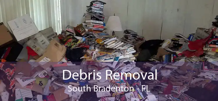Debris Removal South Bradenton - FL