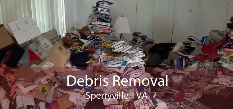 Debris Removal Sperryville - VA