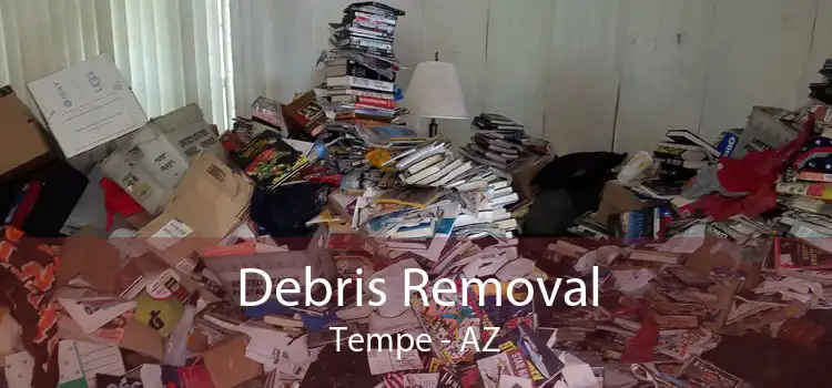 Debris Removal Tempe - AZ