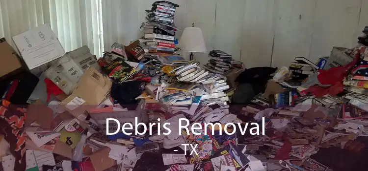 Debris Removal  - TX