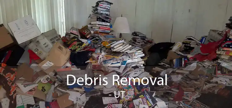 Debris Removal  - UT