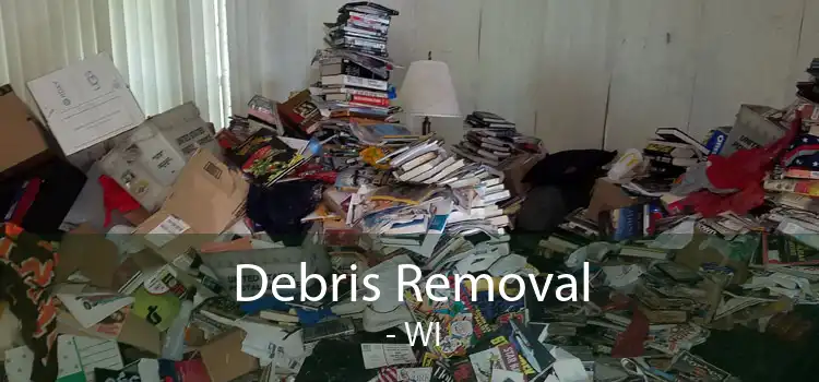 Debris Removal  - WI
