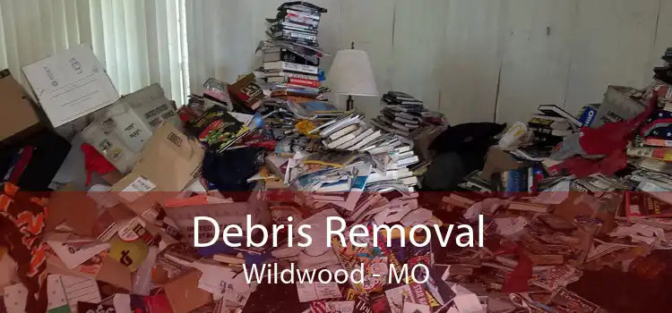 Debris Removal Wildwood - MO