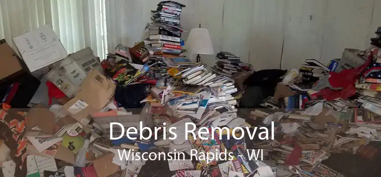 Debris Removal Wisconsin Rapids - WI
