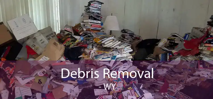 Debris Removal  - WY