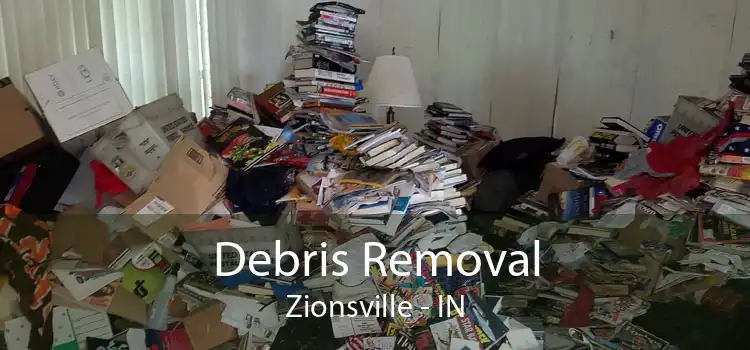 Debris Removal Zionsville - IN