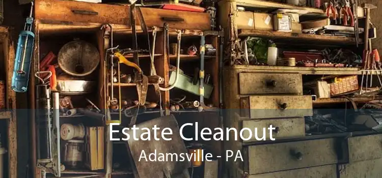 Estate Cleanout Adamsville - PA