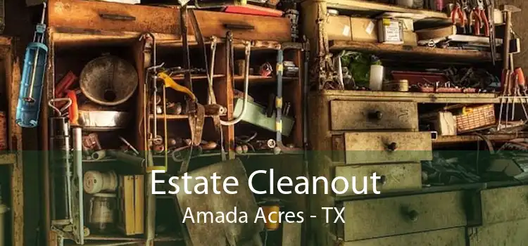 Estate Cleanout Amada Acres - TX