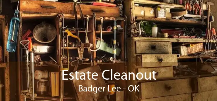 Estate Cleanout Badger Lee - OK