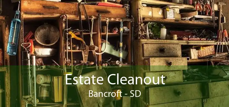 Estate Cleanout Bancroft - SD