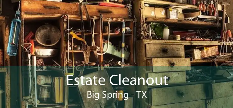 Estate Cleanout Big Spring - TX