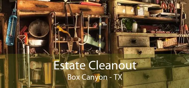 Estate Cleanout Box Canyon - TX