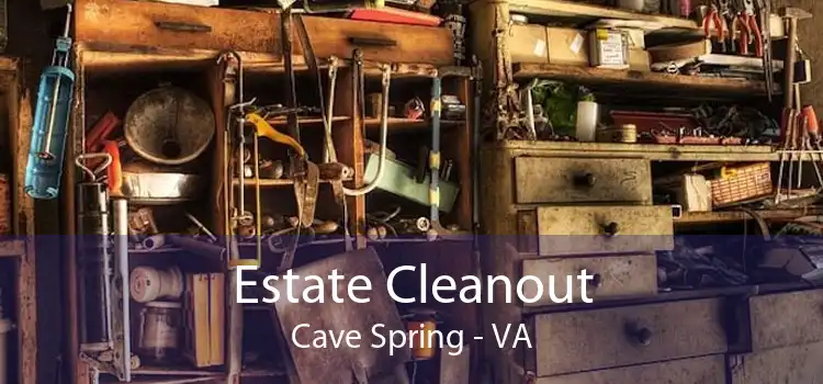 Estate Cleanout Cave Spring - VA