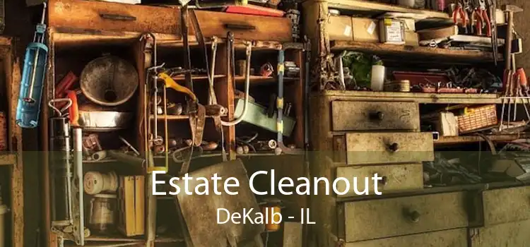 Estate Cleanout DeKalb - IL