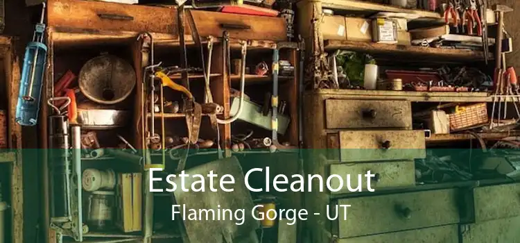 Estate Cleanout Flaming Gorge - UT