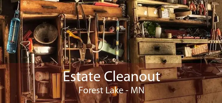 Estate Cleanout Forest Lake - MN
