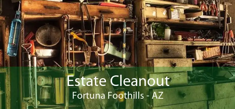 Estate Cleanout Fortuna Foothills - AZ