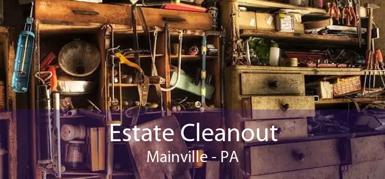Estate Cleanout Mainville - PA