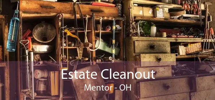 Estate Cleanout Mentor - OH