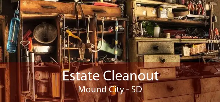 Estate Cleanout Mound City - SD