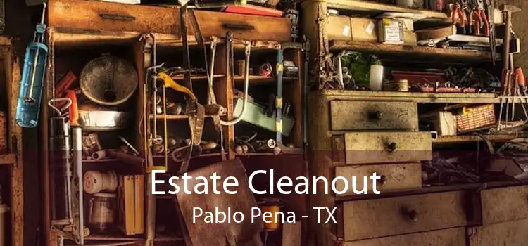 Estate Cleanout Pablo Pena - TX