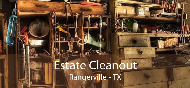 Estate Cleanout Rangerville - TX