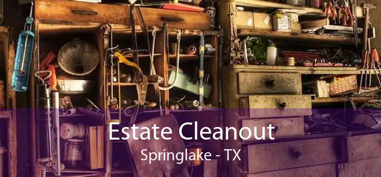 Estate Cleanout Springlake - TX