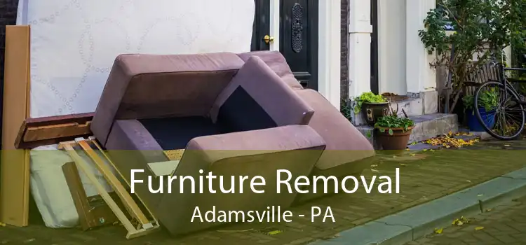 Furniture Removal Adamsville - PA