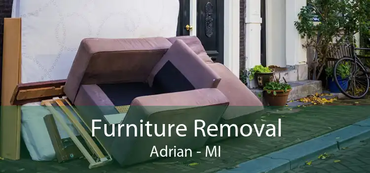 Furniture Removal Adrian - MI