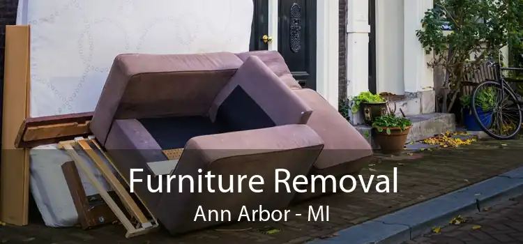 Furniture Removal Ann Arbor - MI