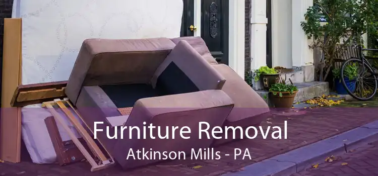 Furniture Removal Atkinson Mills - PA