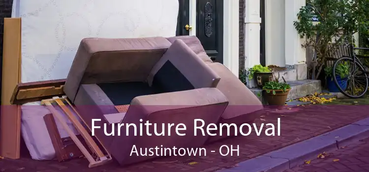 Furniture Removal Austintown - OH