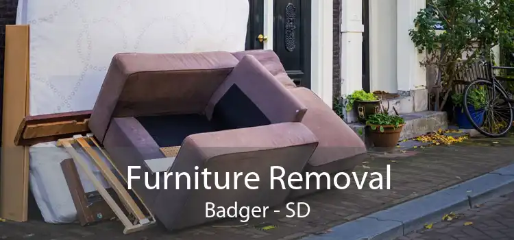 Furniture Removal Badger - SD