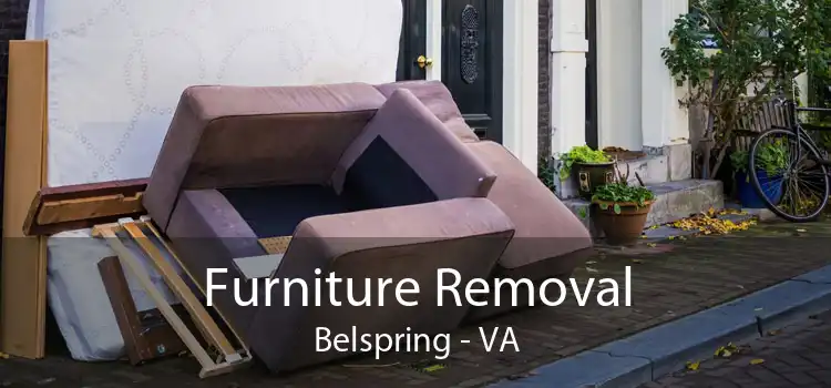 Furniture Removal Belspring - VA