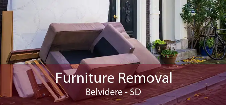 Furniture Removal Belvidere - SD