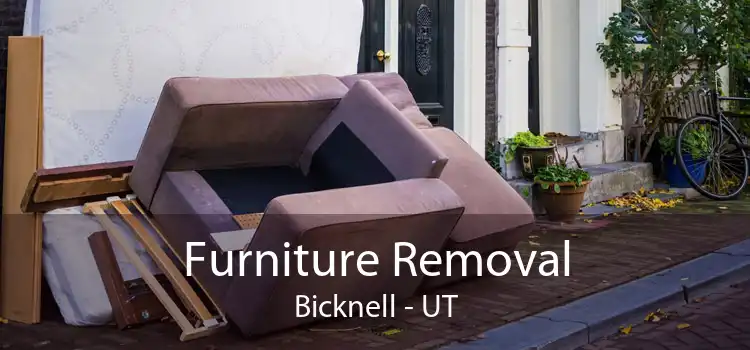 Furniture Removal Bicknell - UT